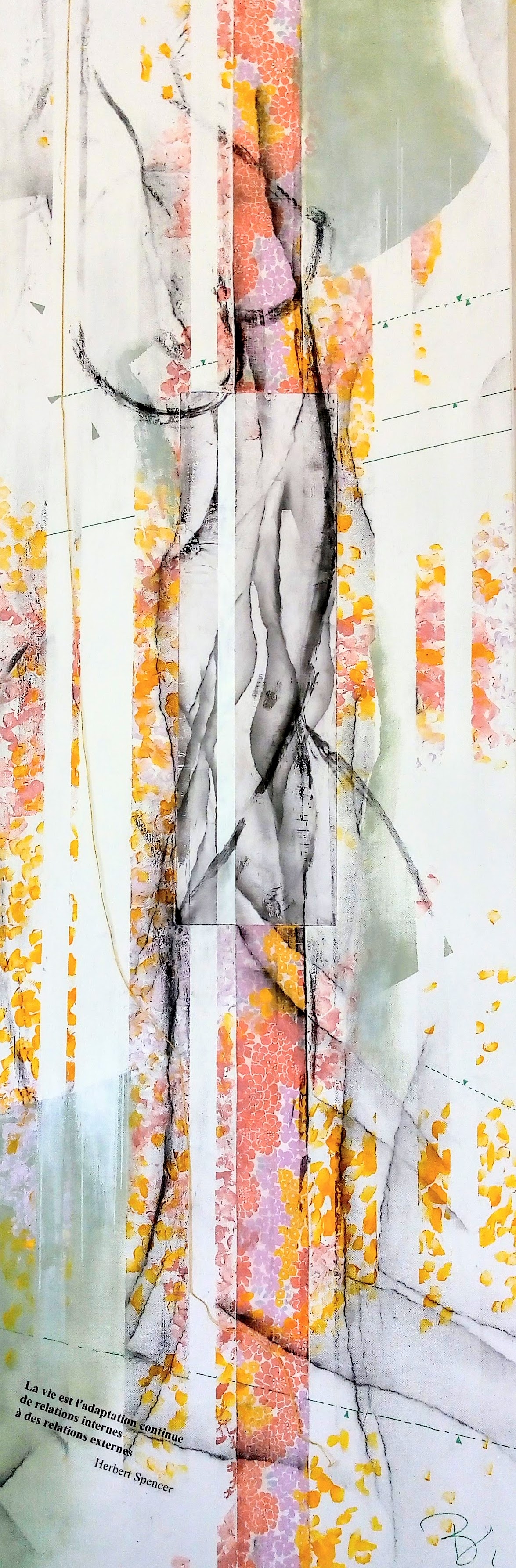 Tableau : ADAPTATION - Exposition 